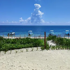 https://cabana-frente-al-mar.allrivieramayahotels.com